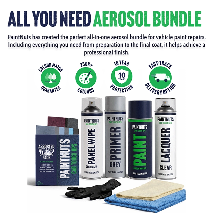 Touch Up Aerosol All You Need Kit for Classic Cars